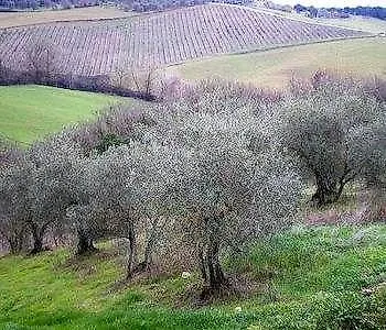Venkovský dům Fullino Nero Rta - Residenza Turistico Alberghiera Siena